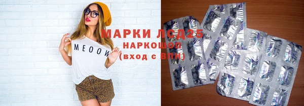 сатива Ростов
