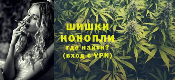 эйфоретик Арсеньев