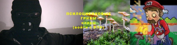 эйфоретик Арсеньев