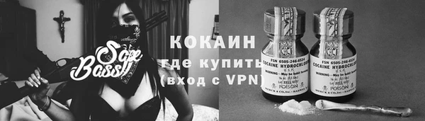 эйфоретик Арсеньев