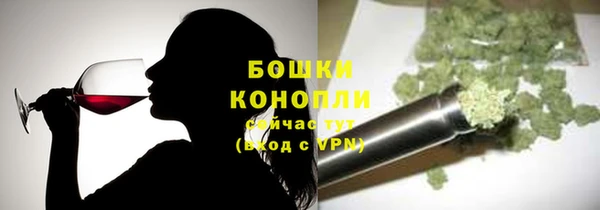 эйфоретик Арсеньев