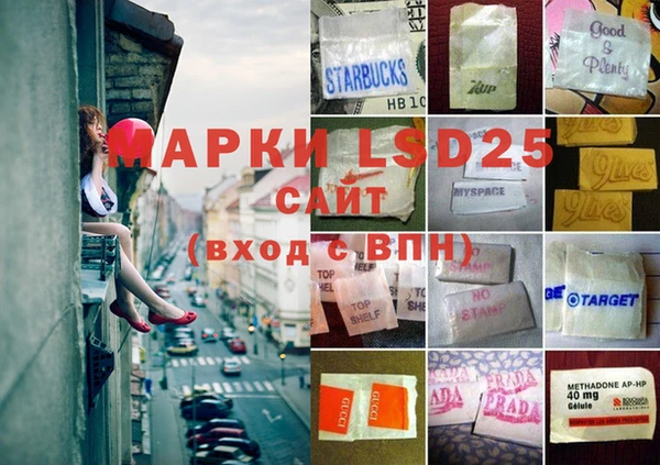 гашик Аркадак