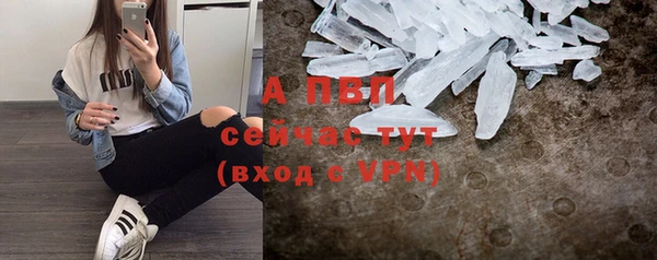 сатива Армянск