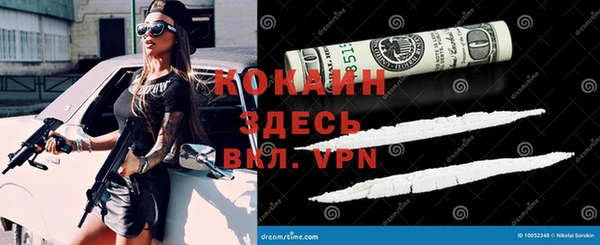 гашик Аркадак