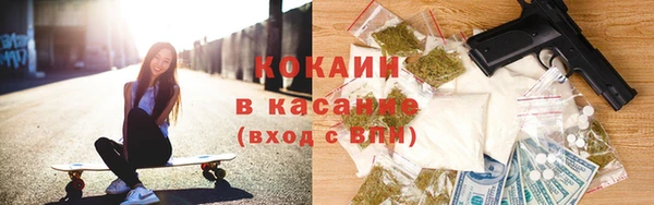 сатива Армянск