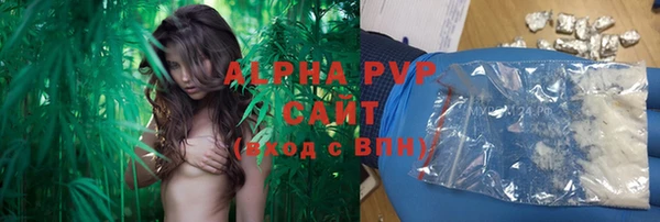 эйфоретик Арсеньев