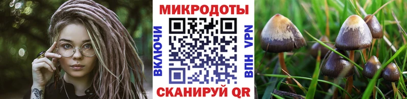 Псилоцибиновые грибы Psilocybe  OMG ссылки  Новоалтайск 